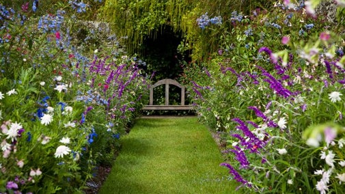 Purple flowers in borders line a grass path leading to a brown wooden bench